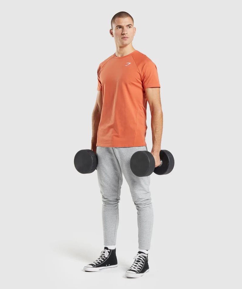 Men's Gymshark Critical T-Shirts Orange | NZ 9XOEIN